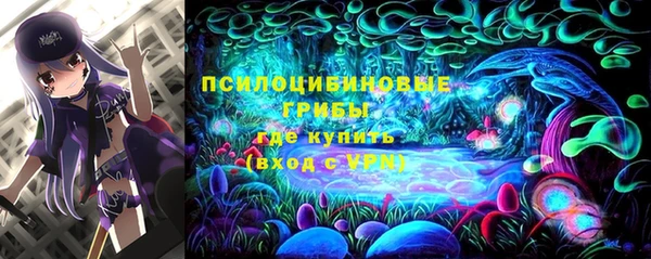 spice Балабаново